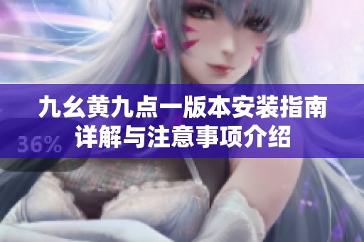 九幺黄九点一版本安装指南详解与注意事项介绍