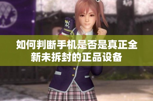 如何判断手机是否是真正全新未拆封的正品设备