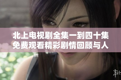 北上电视剧全集一到四十集免费观看精彩剧情回顾与人物分析