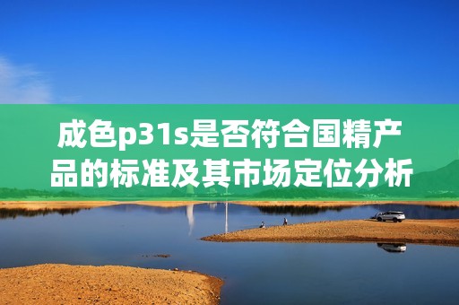 成色p31s是否符合国精产品的标准及其市场定位分析