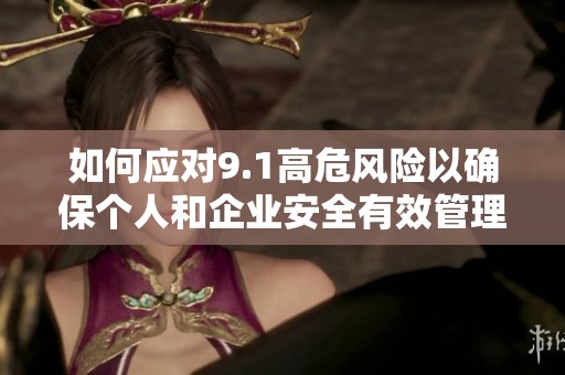 如何应对9.1高危风险以确保个人和企业安全有效管理
