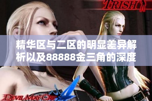 精华区与二区的明显差异解析以及88888金三角的深度剖析