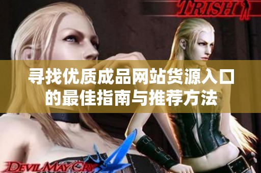 寻找优质成品网站货源入口的最佳指南与推荐方法