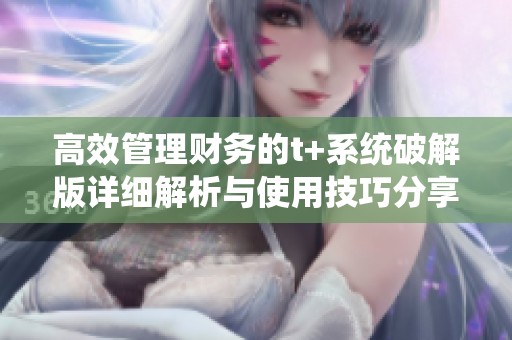 高效管理财务的t+系统破解版详细解析与使用技巧分享
