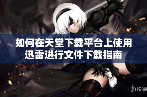 如何在天堂下载平台上使用迅雷进行文件下载指南